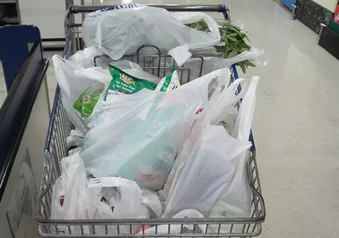 Pungile din plastic cu mâner vor fi interzise în România. Senatul a votat legea care interzice comercializarea acestora, din 2019