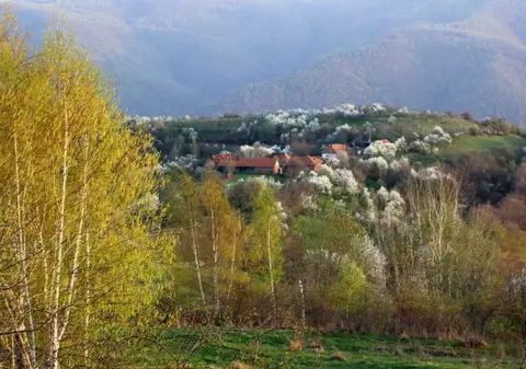 Satele din Hunedoara cu nume bizare. Comuniștii le-au „rebotezat” ca să corespundă cu dorințele regimului