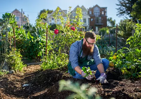 LIBERTATEA TE AJUTĂ: Terenul aferent unei locuinţe cumpărate pe Legea 112 mai poate fi cumpărat?