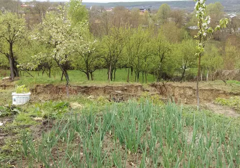 VIDEO / Alunecare de teren în Prahova. Șase proprietăți au fost distruse în totalitate