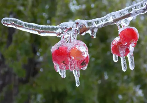 Minus 9 grade Celsius la Miercurea Ciuc, cea mai scăzută temperatură a primăverii