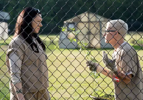 Hackerul care furat sezonul 5 din Orange Is The New Black de la Netflix l-a publicat online