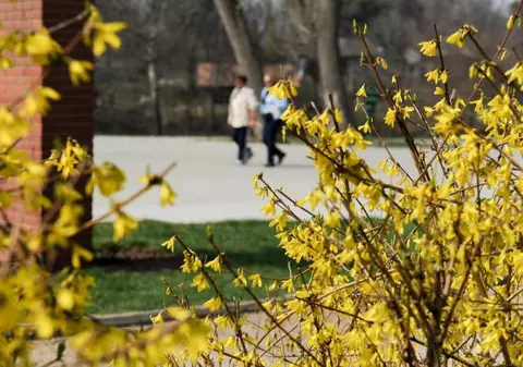 Meteo. Urmează zile de vară! Cum va fi vremea în weekend-ul dinainte de 1 Mai