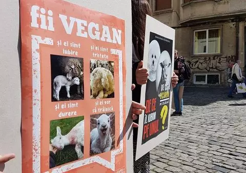 Protest la Cluj față de sacrificarea mieilor de Paște