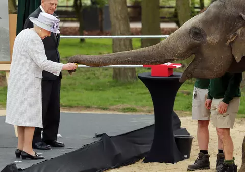 VIDEO Imagini amuzante: Regina Elisabeta a II-a a hrănit un elefant la Grădina Zoologică