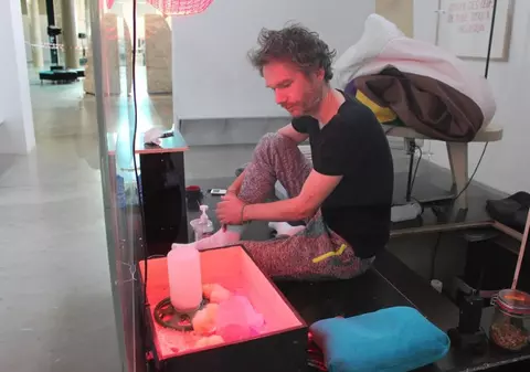 Artistul francez care a “clocit” zece ouă a părăsit incubatorul cu nouă pui de găină