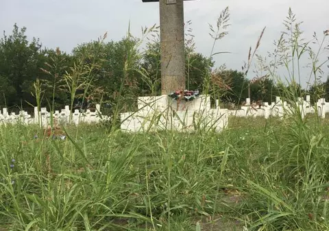 Un senator PSD propune ca deţinuţii să se ocupe de îngrijirea monumentelor istorice; Ce i-a răspuns ministrul Justiției