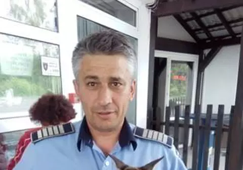 Doi pui de căprioară, salvați de polițist în județul Argeș. Puteau să fie sfâșiați de câinii vagabonzi