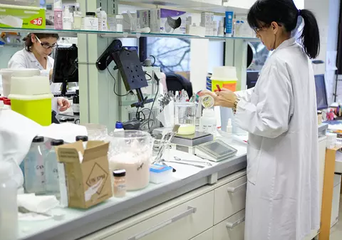 Geneticienii chinezi la un pas de la crea X-Men. Au pus pe jar oamenii de știință din toată lumea