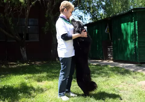 Poliția necuvântătoarelor: Dacă îți chinui animalul de companie riști 3 ani de pușcărie