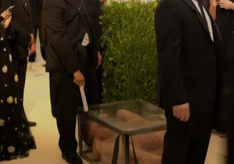 VIDEO| Artist arestat după ce a apărut dezbrăcat într-o cutie de sticlă pe covorul roșu de la MET Gala 2017