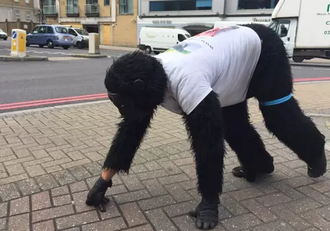 Un bărbat îmbrăcat în costum de gorilă a parcurs în patru labe maratonul din Londra. A terminat cursa după șase zile