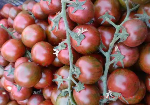 Roșiile și castraveții pentru diabetici. Unde le găsiți și cât costă