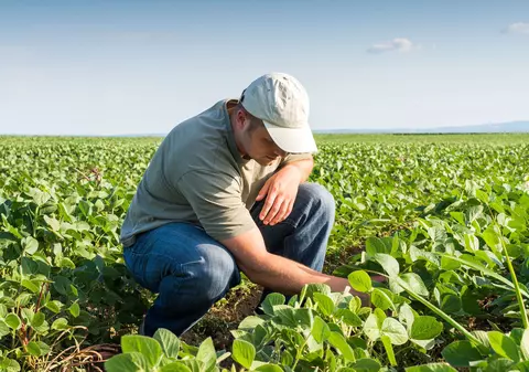 LIBERTATEA TE AJUTĂ Cine beneficiază de subvențiile agricole?