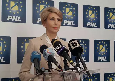 CCR: Când încetează interdicția ca persoanele condamnate să facă parte din Guvern. Turcan: Până în 2020 Liviu Dragnea nu poate fi prim-ministru