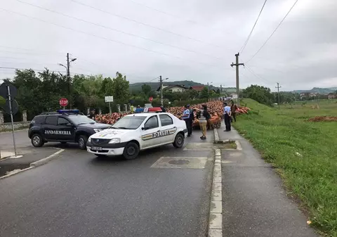 Sute de oi au blocat traficul în Curtea de Argeș. Protest al ciobanilor, nemulțumiți de concesionarea pășunilor