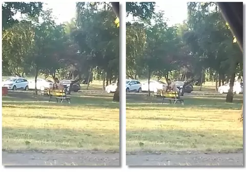 VIDEO - Au făcut dragoste într-un parc din Timișoara