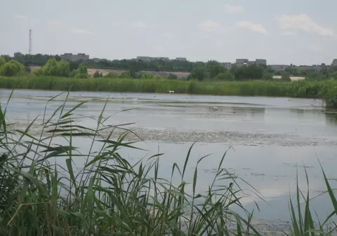 VIDEO EXCLUSIV/ În octombrie, Bucureștiul va avea primii rangeri în Parcul Natural Văcărești