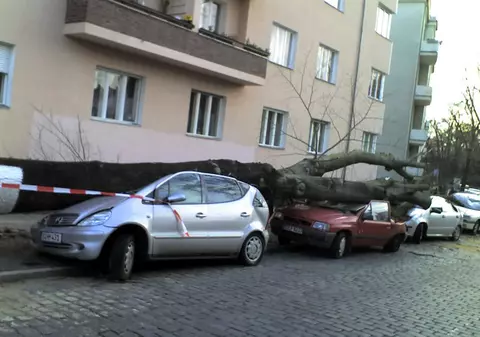 Furtună violentă în Germania, soldată cu un mort și doi răniți. Un bărbat a murit, după ce un copac a căzut peste mașina sa