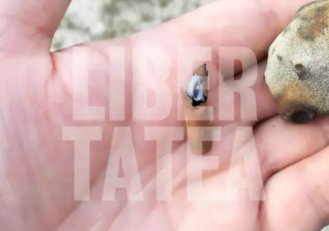 FOTO/ Aveți grijă unde călcați pe plajă! Un glonț a fost găsit întâmplător la malul mării