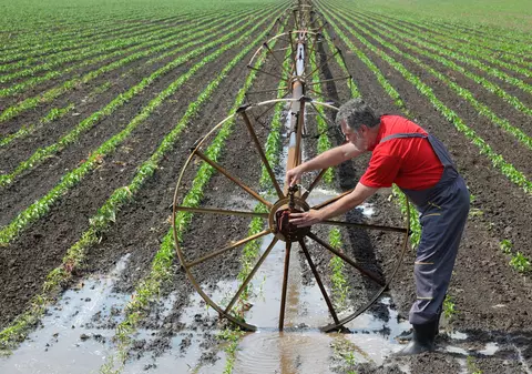 Fonduri europene pentru irigaţii: Până la 1,5 milioane de euro pentru un singur proiect