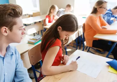 VIDEO: Rezolvarea subiectelor la Evaluarea Națională la Română