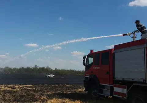 Incendiile de vegetație fac ravagii în Timiș. O mașină și mai multe hectare de teren, făcute scrum
