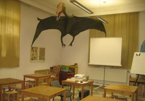 EXCLUSIV. Concursuri despre dinozauri, pentru copii, cu premii vechi de 12 milioane de ani. Ce se întâmplă la Muzeul de Geologie