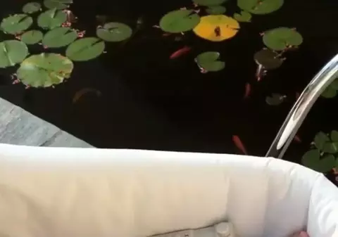 Fetița Mădălinei Ghenea a împlinit patru luni. Imaginea și mesajul emoționant transmise de vedetă