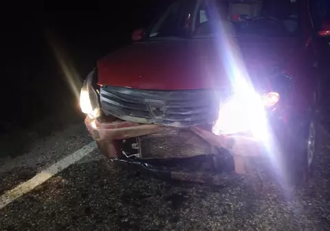 A omorât 33 de mistreți într-un accident în Gorj. Șoferul, „invidiat” de vânătorii din zonă