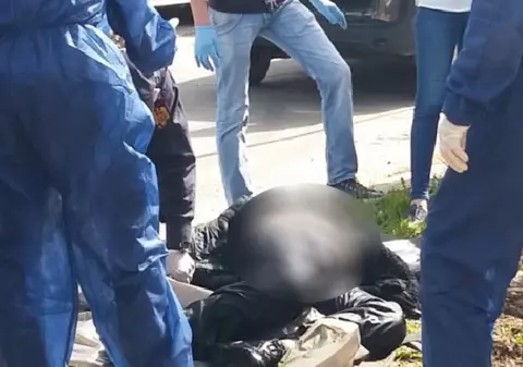 Un bărbat a fost mâncat de porci în Satu Mare. Detalii înfiorătoare, povestite de săteni