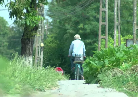 VIDEO/ Un proiect îngropat în bălăriile Bărăganului. „Autostrada bicicliștilor”, drumul betonat spre cârciuma din sat
