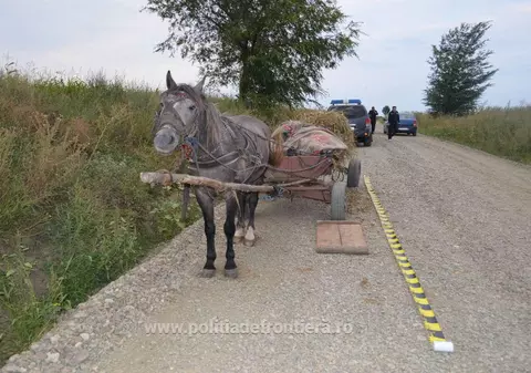 Un bărbat din Neamț a murit strivit sub o căruță cu paie când încerca să coboare o pantă de 45 de grade