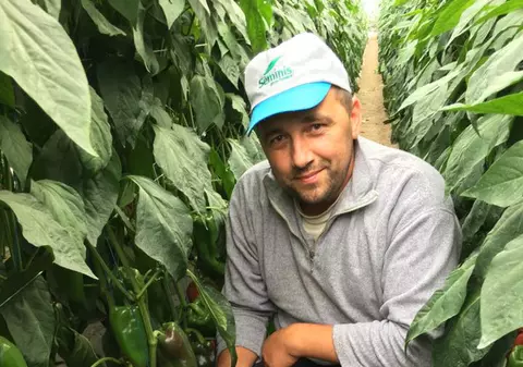 Cultivă roșii negre, castraveți galbeni și vinete albe. Afacerea unui bărbat din Suceava, pasionat de horticultură