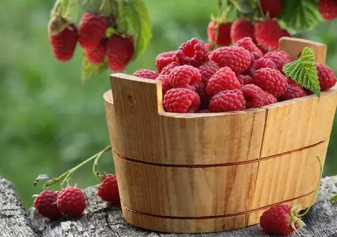 Dieta cu zmeură, modalitatea de a scăpa de 2 kilograme în numai 3 zile