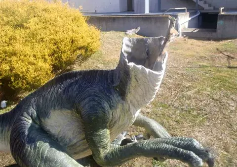 VIDEO| Dinozauri decapitați într-un muzeu din Australia
