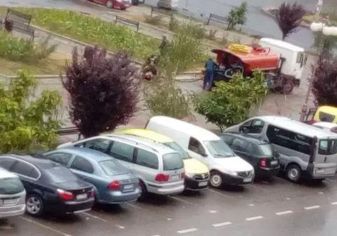 Flori udate când plouă, la Pașcani!