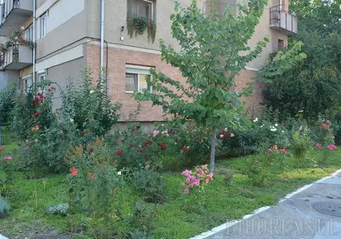 O orădeancă a transformat spaţiul din jurul blocului într-o grădină de toată frumuseţea GALERIE FOTO