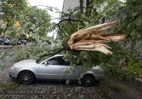 Furtuni violente în Polonia, soldate cu cinci morți. Zeci de copii dintr-o tabără de cercetași au fost răniți