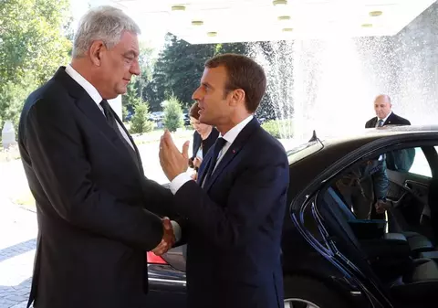 Emmanuel Macron a primit cadou o creangă de la Mihai Tudose. Ce semnificație are darul