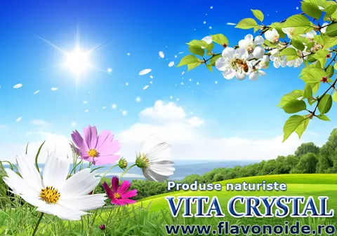 (P) Vita Crystal lansează dupa 10 ani noul olimpiq stemxcell cu 250%