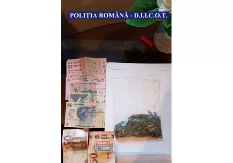 DIICOT a declanșat operațiunea „Șoricioaica”: 4.500 de doze de droguri confiscate și 9 persoane ridicate pentru audieri
