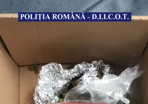 După Arad, polițiștii au descoperit și în Galați persoane care vindeau cannabis. O femeie și trei bărbați au fost reținuți