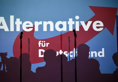 Cum ar putea fi afectați românii de rezultatele obținute de AfD la alegerile din Germania