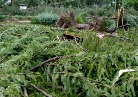 Stațiunea Moneasa din Arad, distrusă de furtună. Prăpăd după vijelie