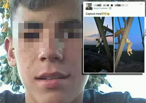 UPDATE: Dosar penal pentru copilul din Mehedinți, care a spânzurat două pisici și a postat fotografiile pe Facebook. Gestul său a stârnit revoltă pe Internet!
