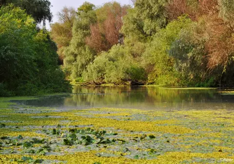 Profită de reducerile de pană la 45%. Descoperă Delta Dunării la început de toamnă!