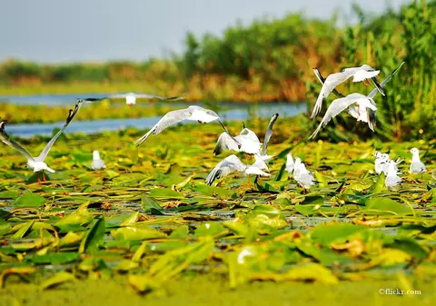 (P) Oferte Speciale de toamnă – în Delta Dunării!