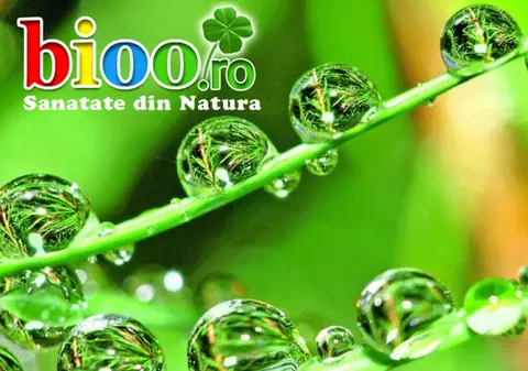 (P) Noni Original Integral și Aloe Vera Integral pentru o sănătate de invidiat