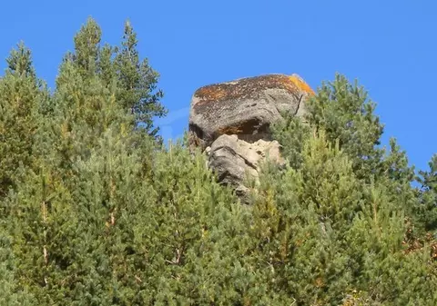 Sfinxul de la Buștea, monument al naturii mai puțin cunoscut. Cum se ajunge la „uriașul” împietrit din Munții Buzăului